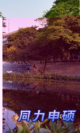 同力申碩